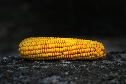 Are There Carbs in Vodka? Unveiling the Secrets of Potato and Corn Vodka for a Low-Carbohydrate Lifestyle