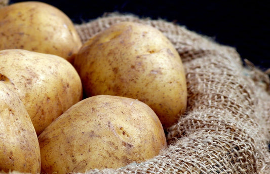 Potato Vodka vs. Traditional Vodka: What's the Difference?